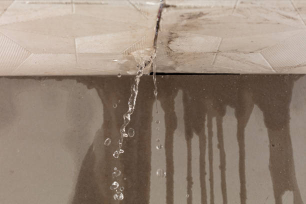 Professional Structural Drying technician working in Rockland, DE